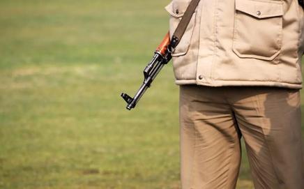 Around 794 Naxalites have surrendered in Gadchiroli. File Pic